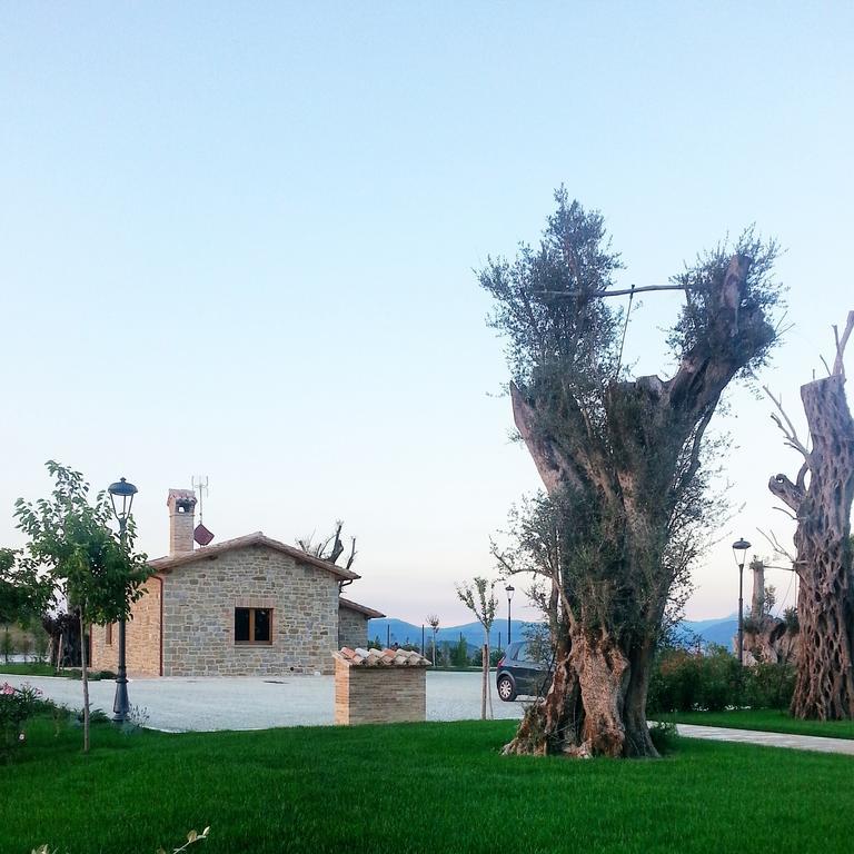 Tenuta Borgo Santa Cecilia 구비오 외부 사진