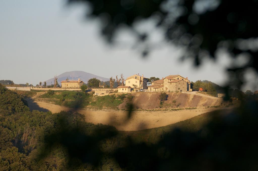 Tenuta Borgo Santa Cecilia 구비오 외부 사진