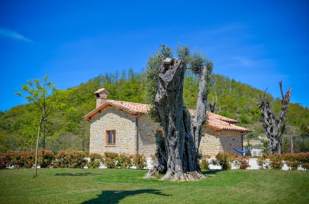 Tenuta Borgo Santa Cecilia 구비오 외부 사진