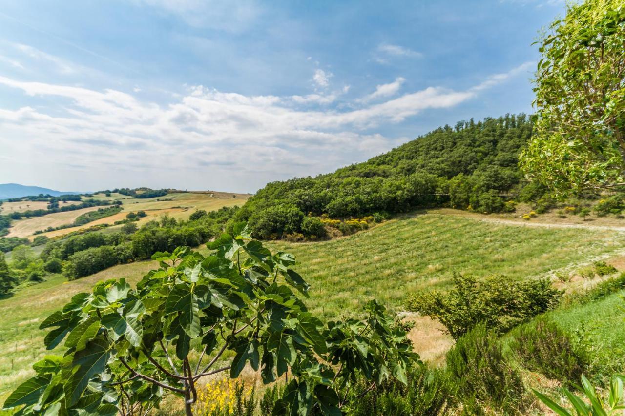 Tenuta Borgo Santa Cecilia 구비오 외부 사진